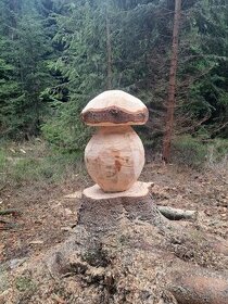 Dřevěné houby - 1