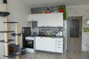 Prodej útulného bytu 1+1 po částečné rekonstrukci v Dobřanec - 1