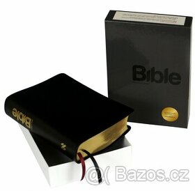 Bible 21.století