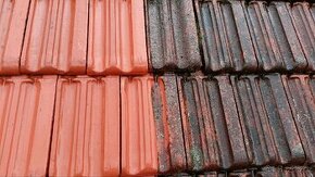 Čištění střech, fasád a zámkové dlažby - 1