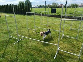 Skočky na agility