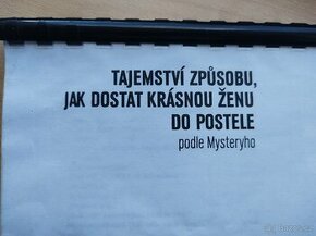 Tajemství způsobu, jak dostat krásnou ženu do postele podle
