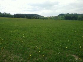Zemědělské pozemky 6 hektarů louka Jilemnice Krkonoše - 1