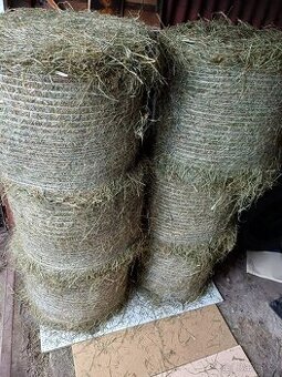 seno pro králíky, morčata, kozy, ovce