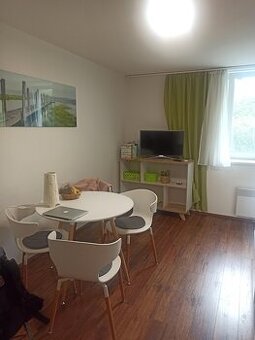 Lednice u Břeclavi pronájem bytu - 1