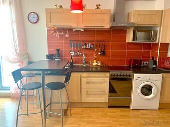 Prodej 1kk Novodvorska