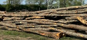 Palivové dřevo metrové listnaté