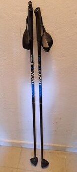 Hůlky běžkové 115 cm