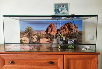 Vybavené 100x40x40cm terárium nové , polyuretanové pozadí,2x