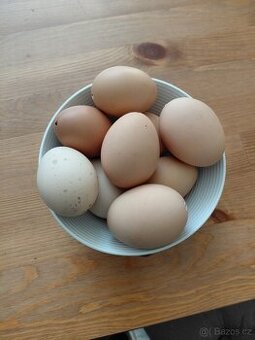 Vaječné skořápky,  výdutky,  vyfouklá vajíčka