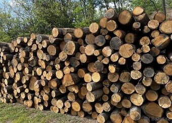 Palivové dřevo buk