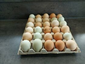 Domaci vajíčka