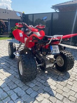 Access Warrior 450 2014 DPH