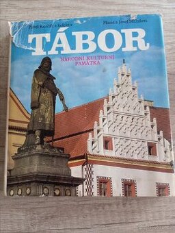 Kniha Tábor - 1