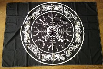 Plátěný obraz Viking / Runy