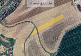 Prodej pole v k.ú. Kostelec u Kyjova - 1