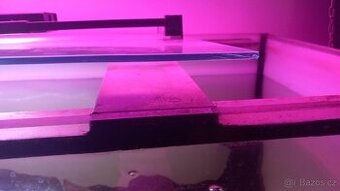 Akvarium 490l