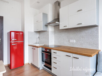 Pronájem bytu 1+1, Oblouková, Vršovice, 19900 Kč/měs, 44 m2