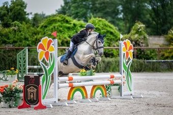 Pony S