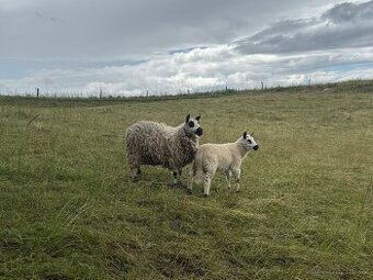 Kerry Hill