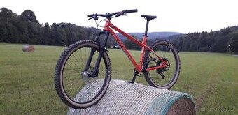 Commencal Meta HT AM Ride 29, velikost L