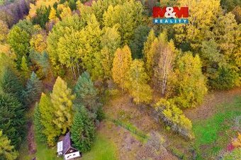 Prodej lesa, 3004 m², Skalice u České Lípy