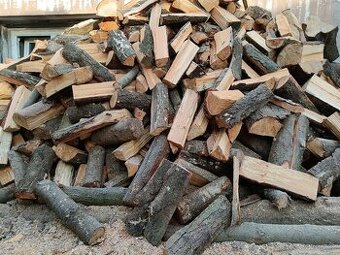 Měkké palivové dřevo levně