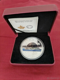 Investiční stříbro: 5 oz mince Bobr (Beaver) Canada Mint