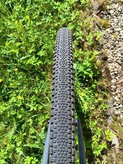 WTB Riddler 700x37 - 1