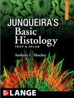 junqueiras basic histology text atlas