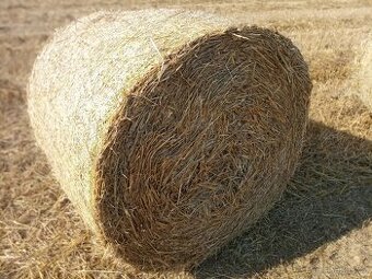 Sláma pšeničná 2025 průměr 125cm
