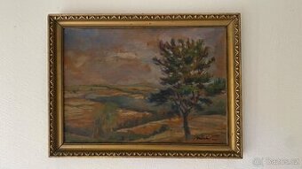 Starý malovaný obraz. Viz foto.