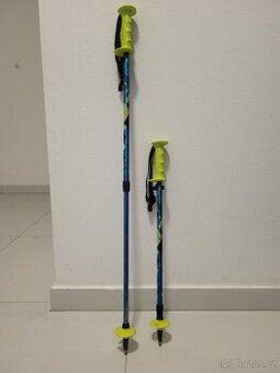 Dětské lyžařské hole Arcore ASP 1,1 dělka 53-85cm