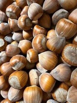 Liskove orechy neloupane