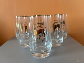 sada skleniček se znamením zvěrokruhu Kozoroh