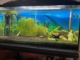 Prodej akvária 112l - kompletní set s CO2 a stojanem