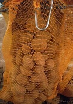 brambory - konzumní - netříděné - krmné i sadbové .