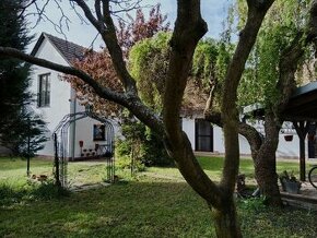 Prodej velikého domku ( 390m2, 4+2) v obcí Třebestovice s pl - 1
