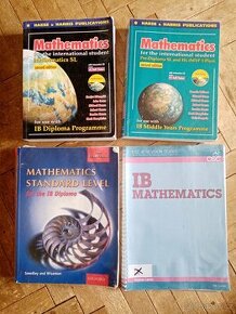 Matematika IB, Mathematics in English