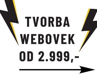 PROFESIONÁLNÍ WWW stránky