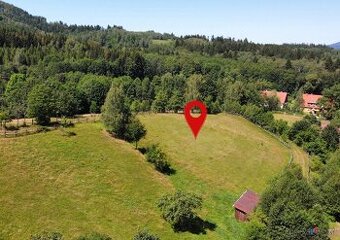 Prodej pozemku 2 456 m2 - Olešnice v Orlických horách