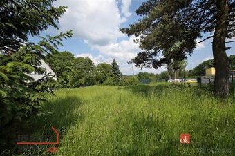 Prodej, pozemky/bydlení, 84 m2, Nové Město pod Smrkem, Liber