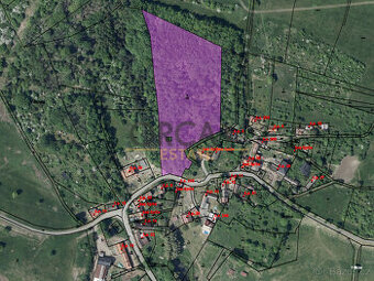 Prodej lesního pozemku v k.ú. Skalice u Lovosic o výměře 159