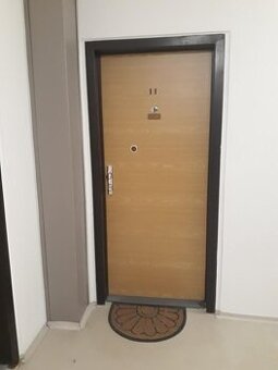 Vchodové dveře do panelového bytu