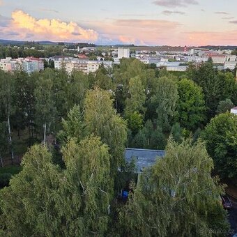 Pronájem bytu 1+1 Žďár nad Sázavou - 1