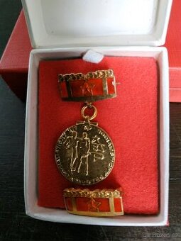 Pamětní medaile - „Za rozvoj socialistické společnosti“