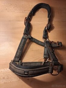 Ohlávka pony Eskadron Heritage