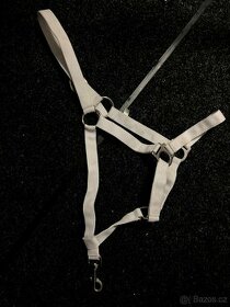 bílá ohlávka vb Perlon Waldhausen