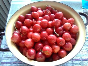 Třešně