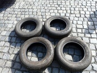 ZIMNÍ PNEU NEXEN 175/80R13